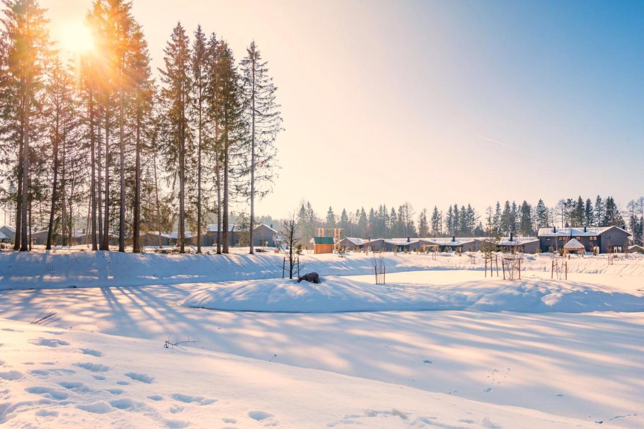 Ferienpark Center Parcs Park Allgäu 3*
